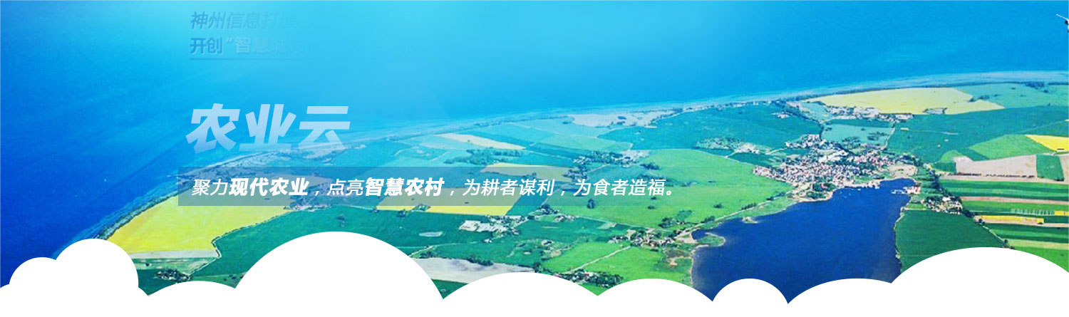 banner图