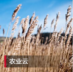 AG贵宾会·(中国游)集团首页
